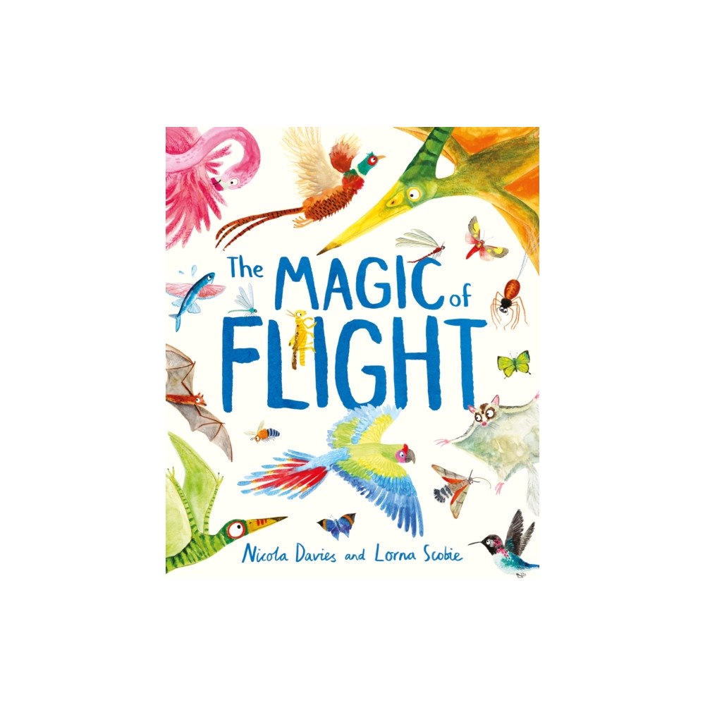 Hachette Children's Group The Magic of Flight (inbunden, eng)