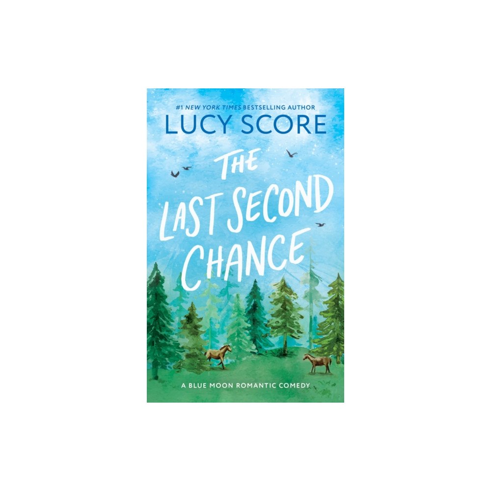 Sourcebooks, Inc The Last Second Chance (häftad, eng)