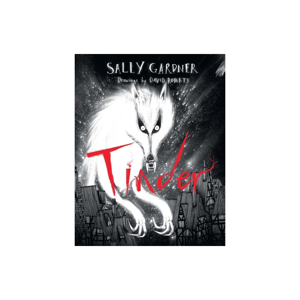 Hachette Children's Group Tinder (inbunden, eng)