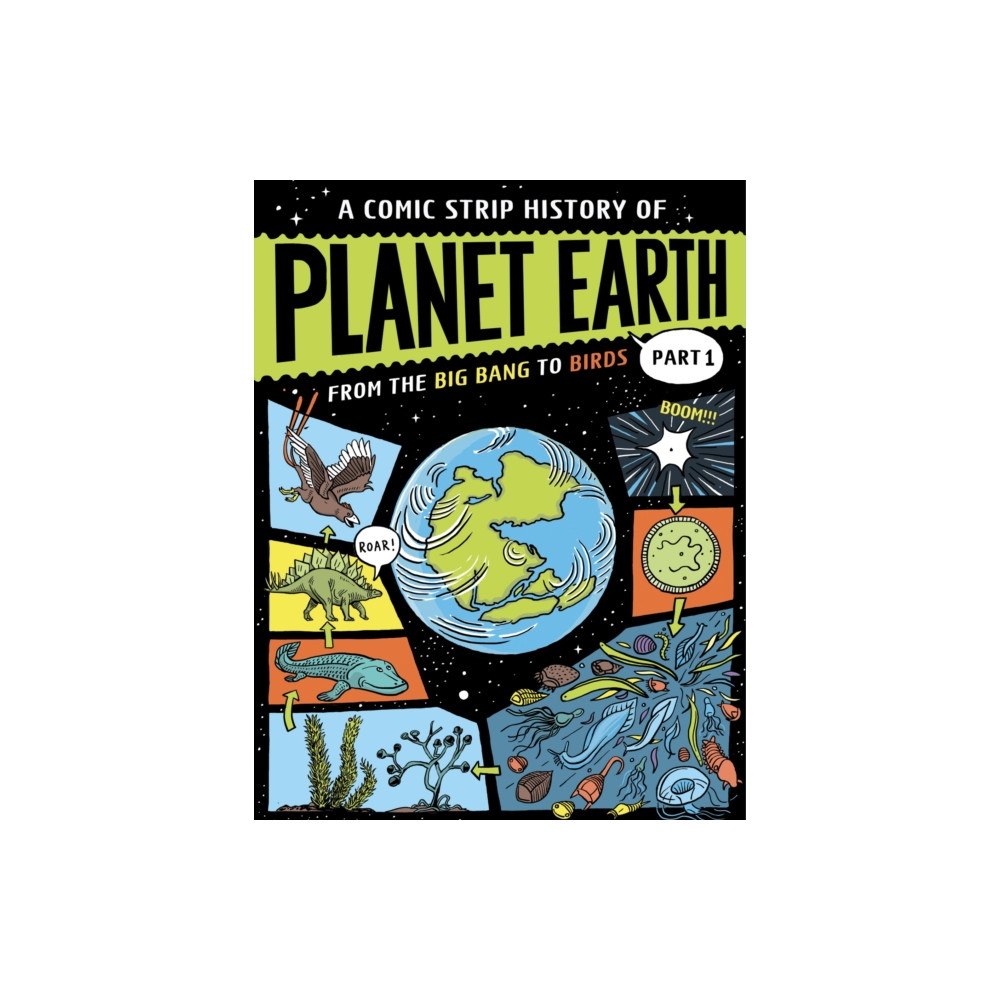 Hachette Children's Group A Comic Strip History of Planet Earth: Part 1 From the Big Bang to Birds (häftad, eng)