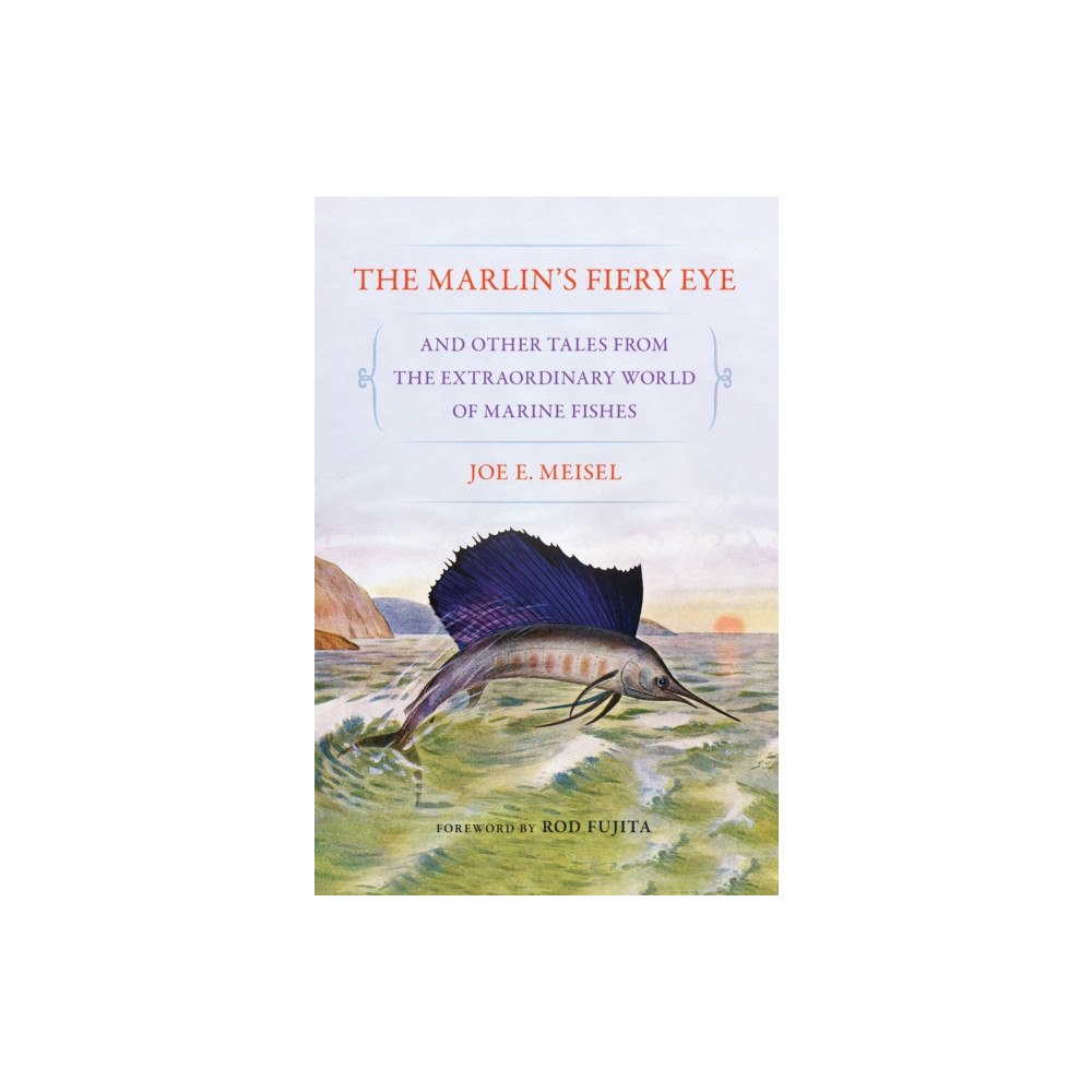 Cornell University Press The Marlin's Fiery Eye and Other Tales from the Extraordinary World of Marine Fishes (häftad, eng)