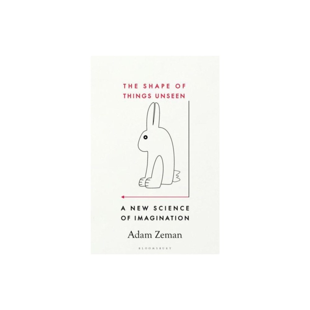 Bloomsbury Publishing (UK) The Shape of Things Unseen (häftad, eng)
