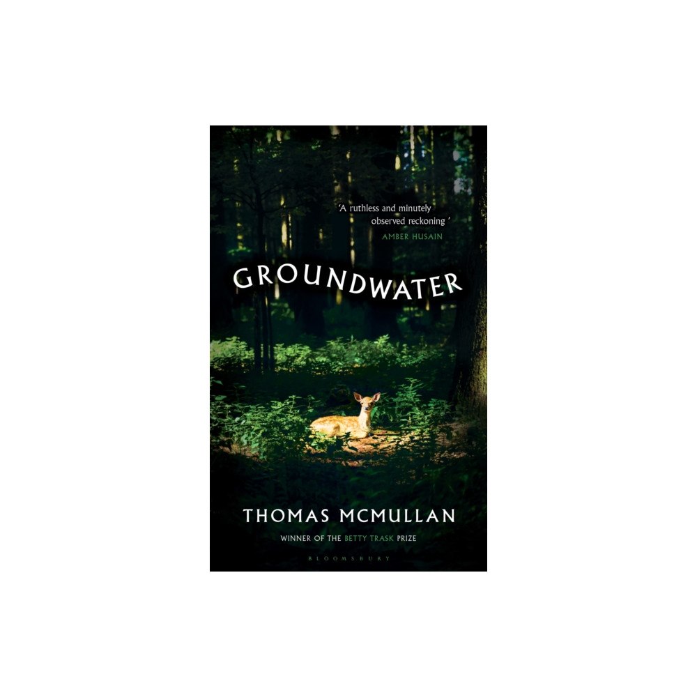 Bloomsbury Publishing PLC Groundwater (inbunden, eng)