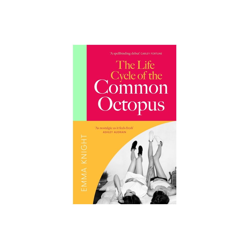 Quercus Publishing The Life Cycle of the Common Octopus (häftad, eng)