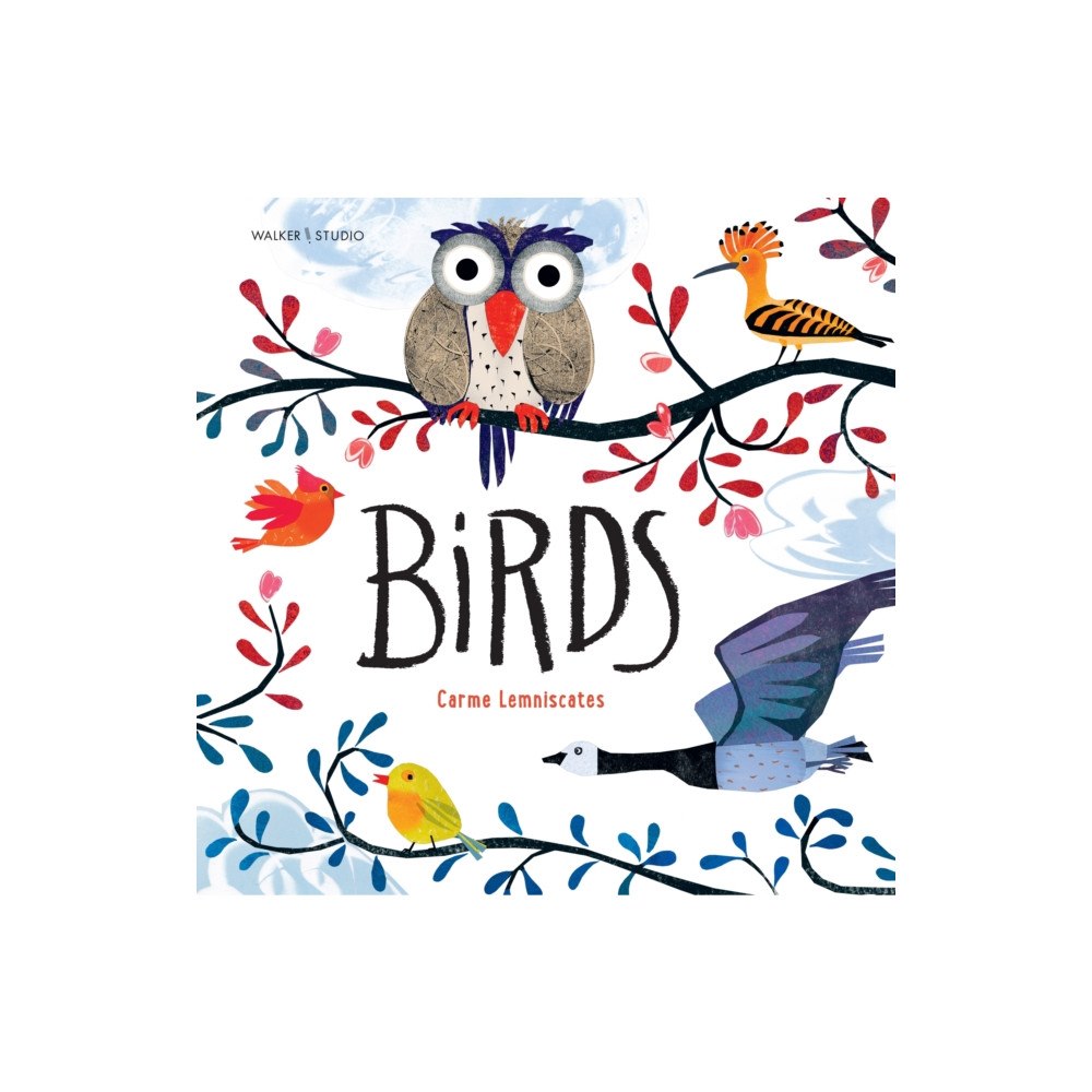 Walker Books Ltd Birds (häftad, eng)