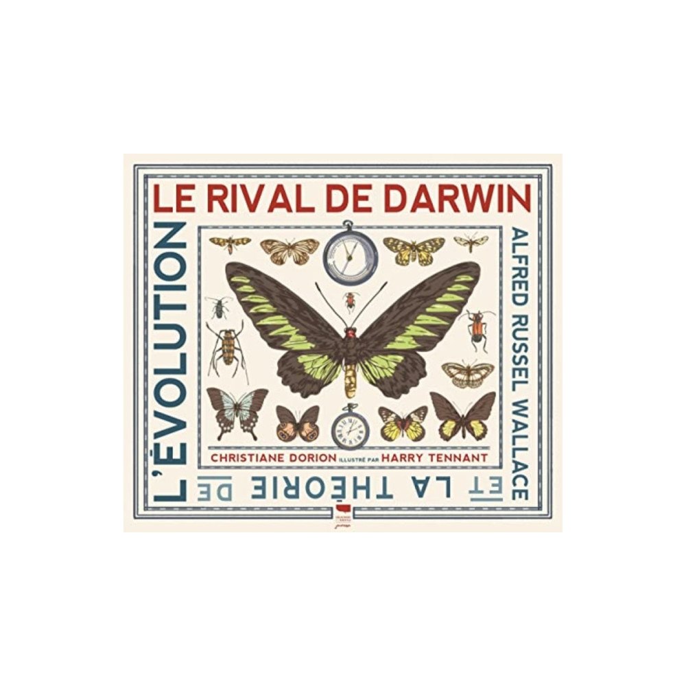 Walker Books Ltd Darwin's Rival: Alfred Russel Wallace and the Search for Evolution (häftad, eng)