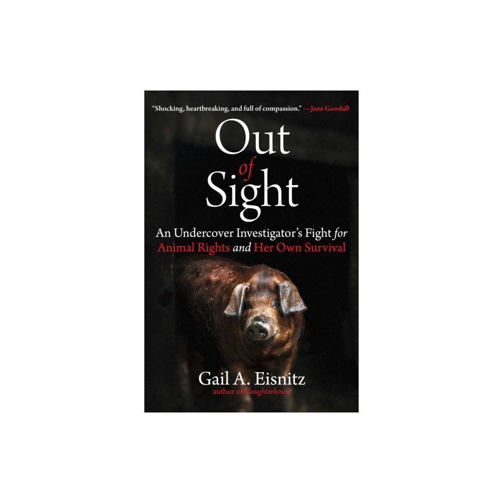 Skyhorse Publishing Out of Sight (inbunden, eng)