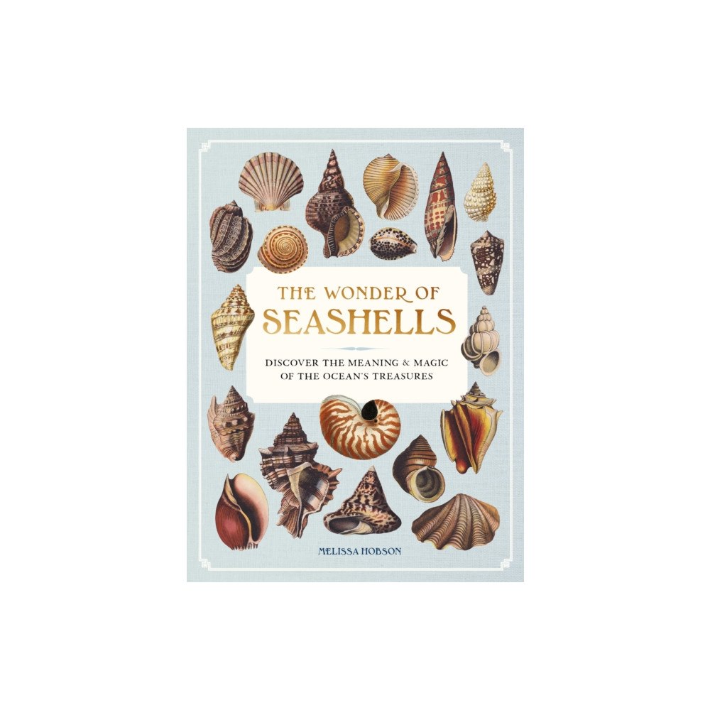 Quarto Publishing Group USA Inc The Wonder of Seashells (inbunden, eng)