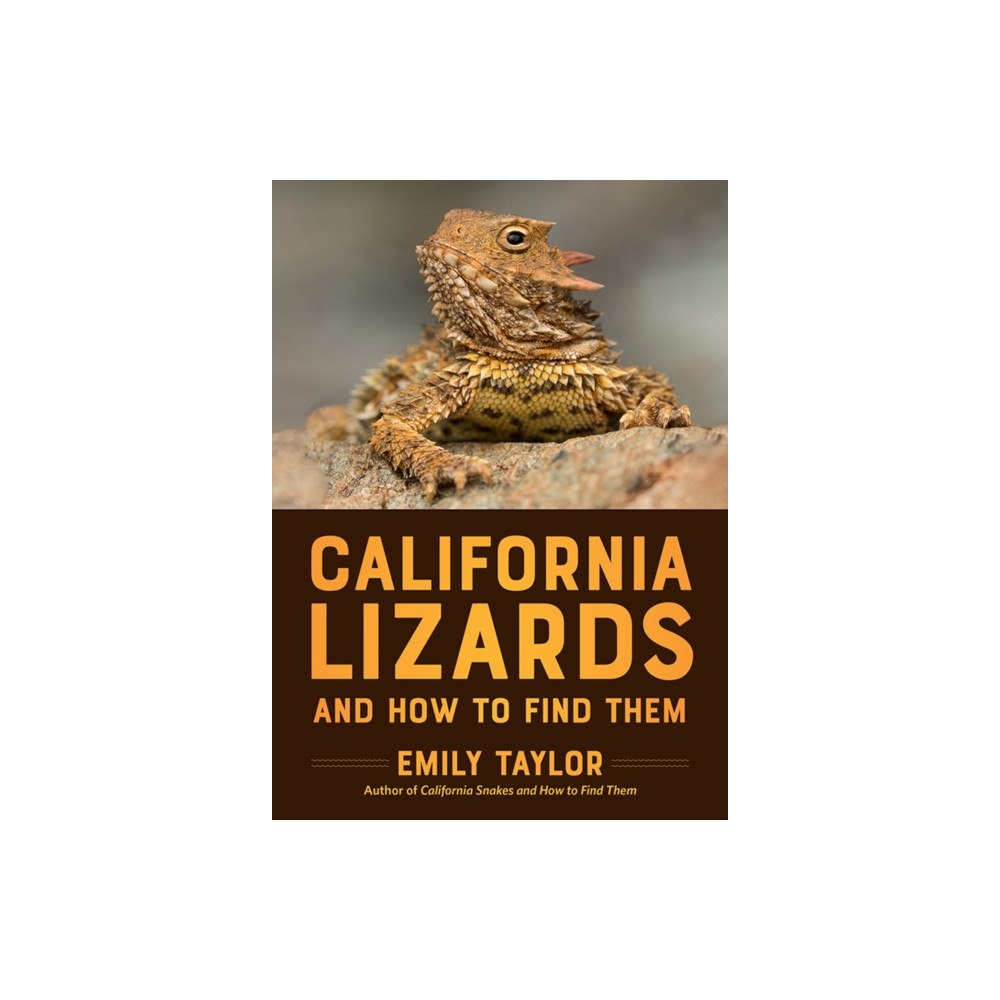 Heyday Books California Lizards and How to Find Them (häftad, eng)