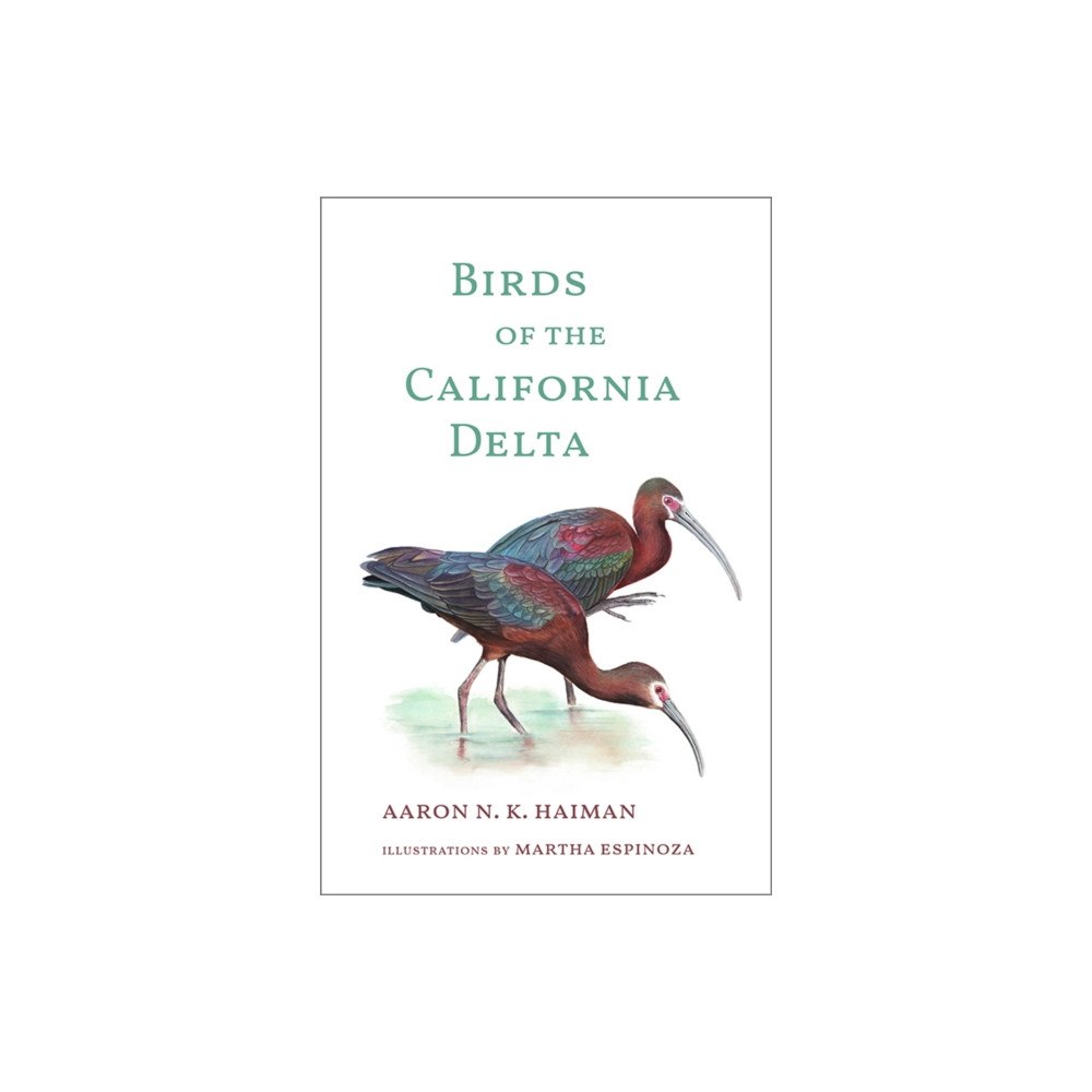 Heyday Books Birds of the California Delta (inbunden, eng)