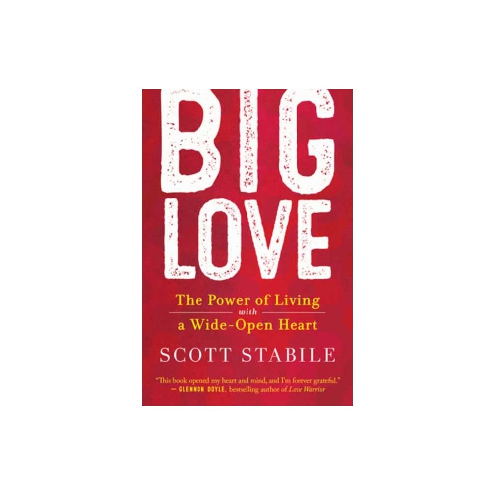 New World Library Big Love (häftad, eng)