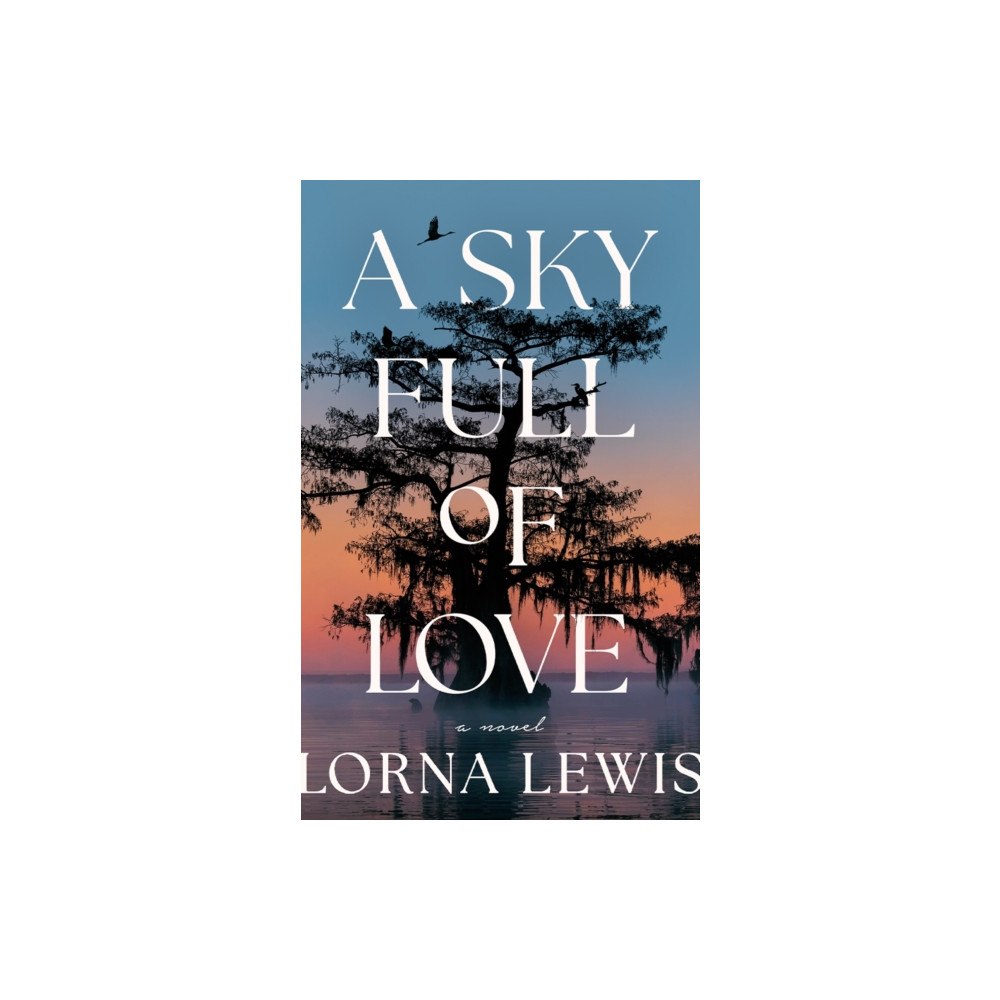 Amazon Publishing A Sky Full of Love (häftad, eng)