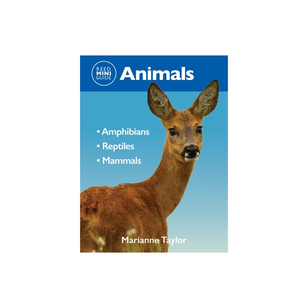 New Holland Publishers Reed Mini Guide: Animals (häftad, eng)