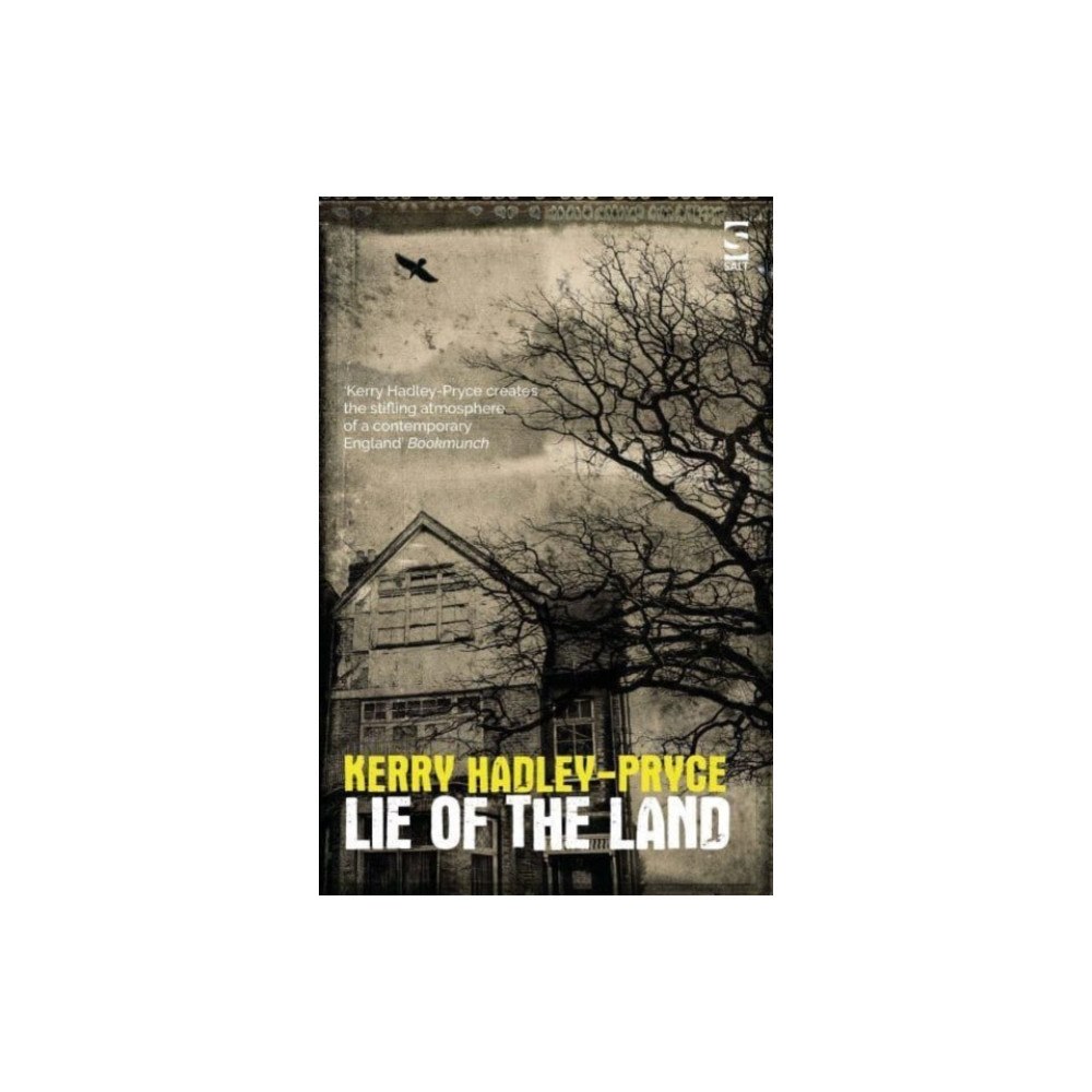 Salt Publishing Lie of the Land (häftad, eng)