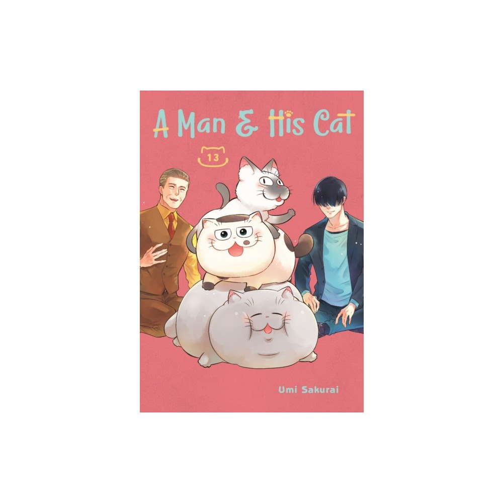 Square Enix A Man and His Cat 13 (häftad, eng)