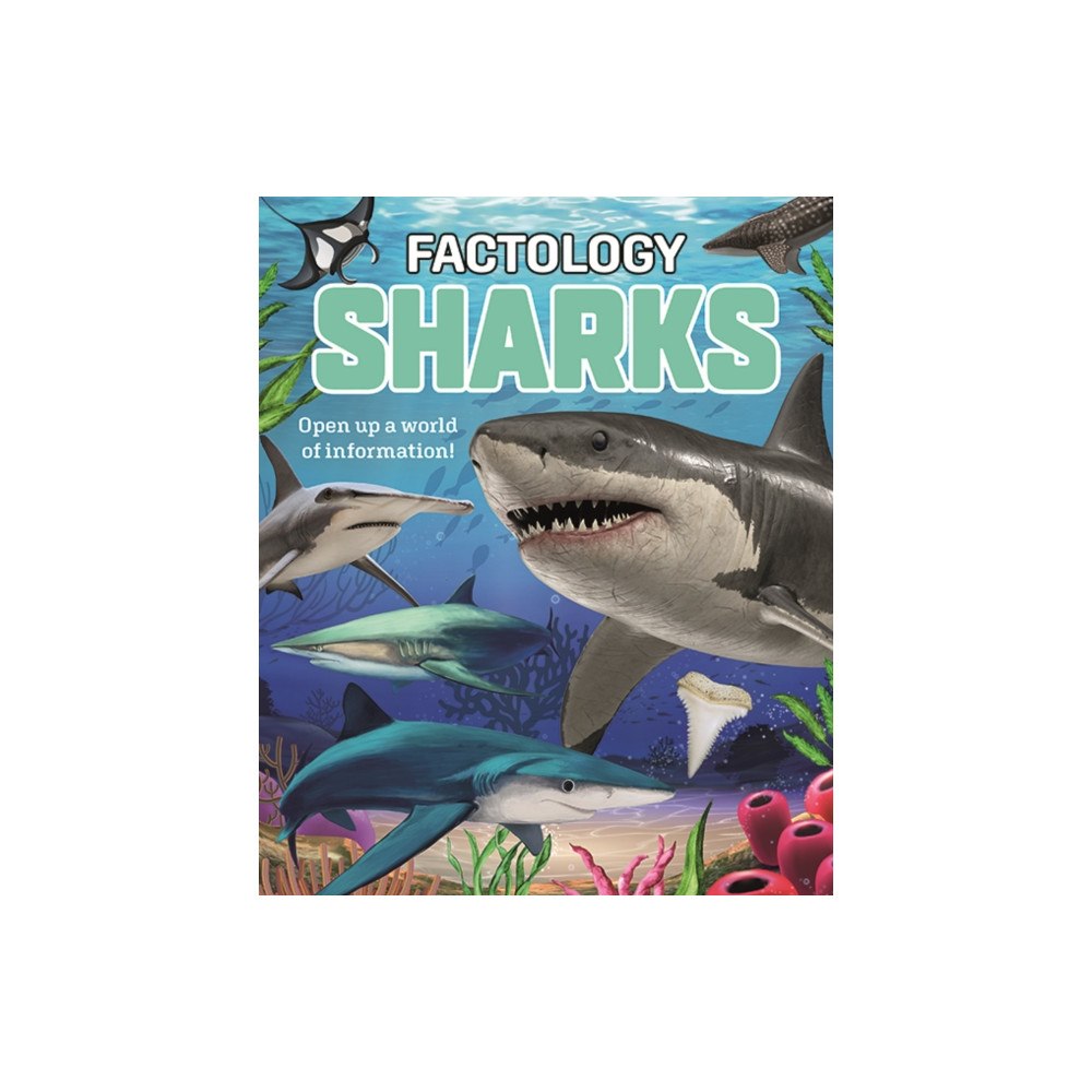 Button Books Factology: Sharks (inbunden, eng)