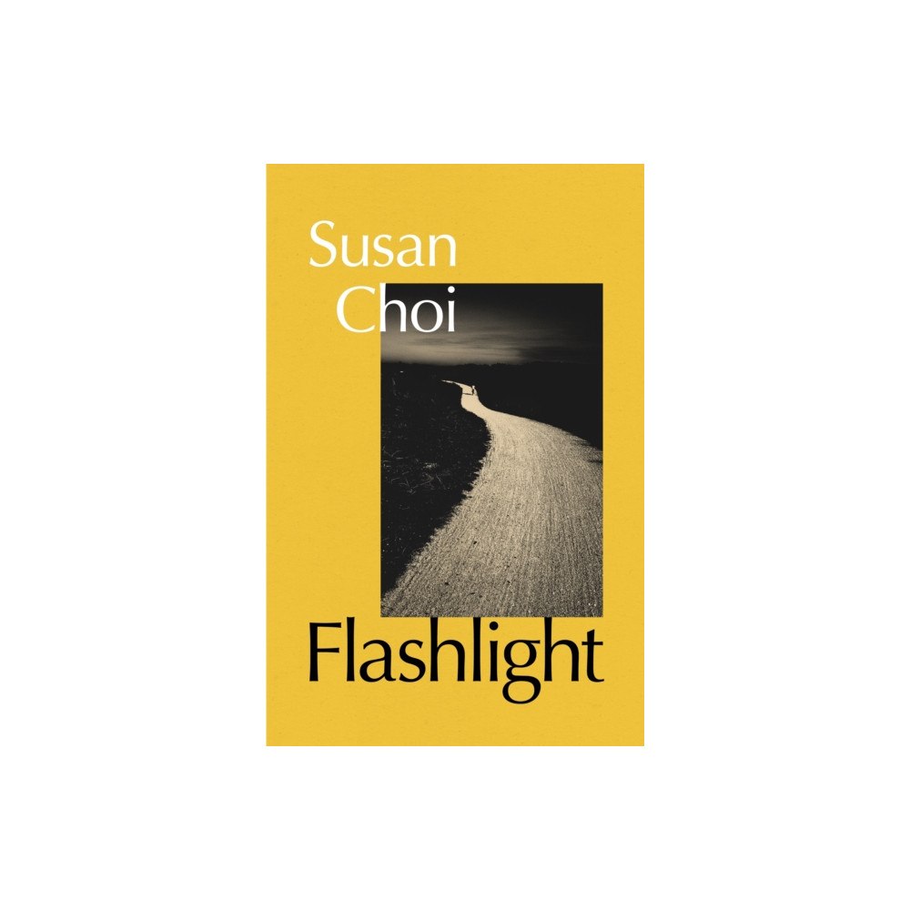 Vintage Publishing Flashlight (inbunden, eng)