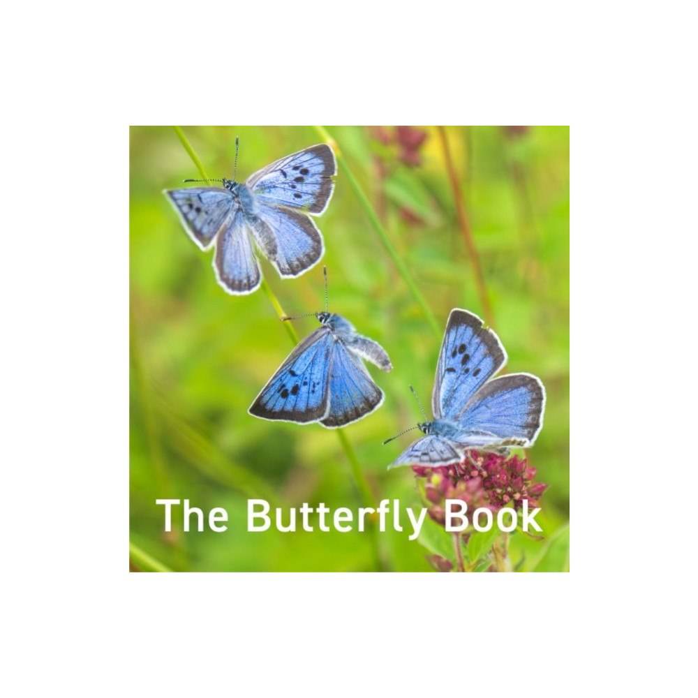 Graffeg Limited Nature Book Series: The Butterfly Book (inbunden, eng)
