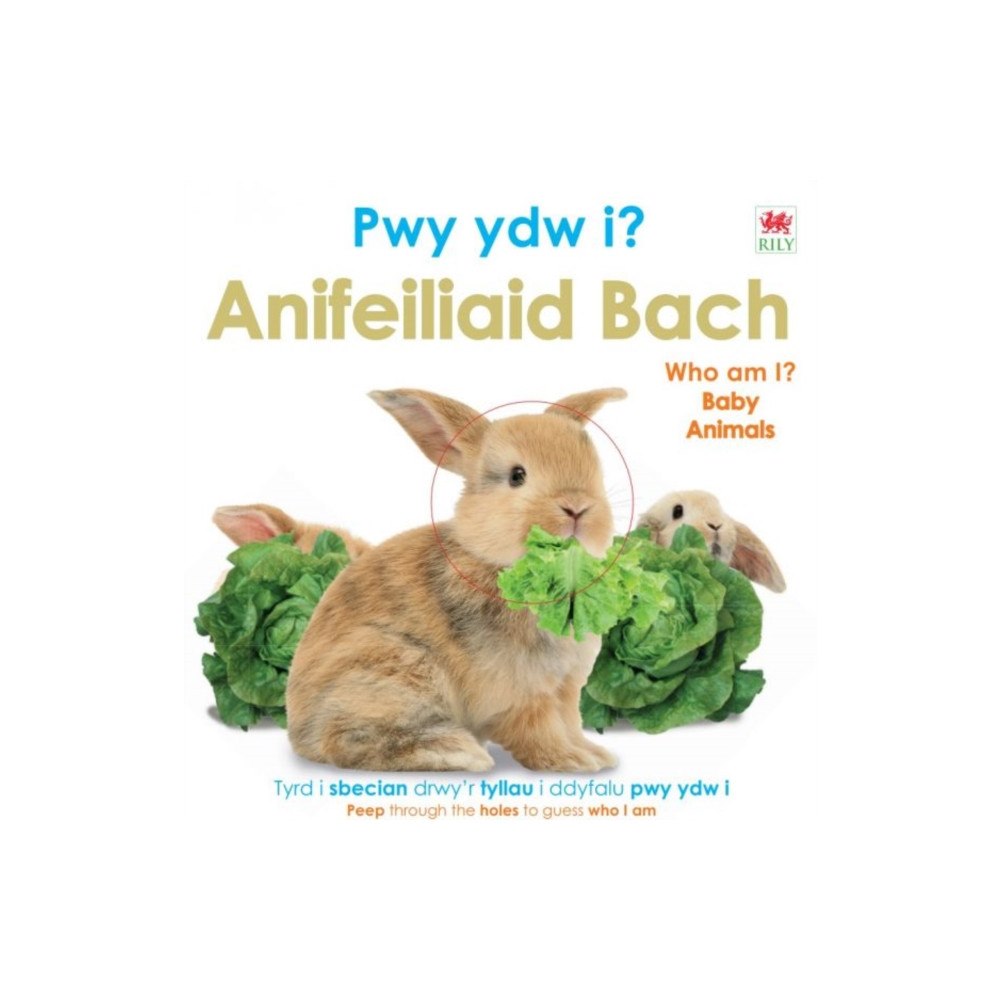 Rily Publications Ltd Pwy Ydw i? Anifeiliaid Bach / Who Am I? Baby Animals (bok, board book, eng)
