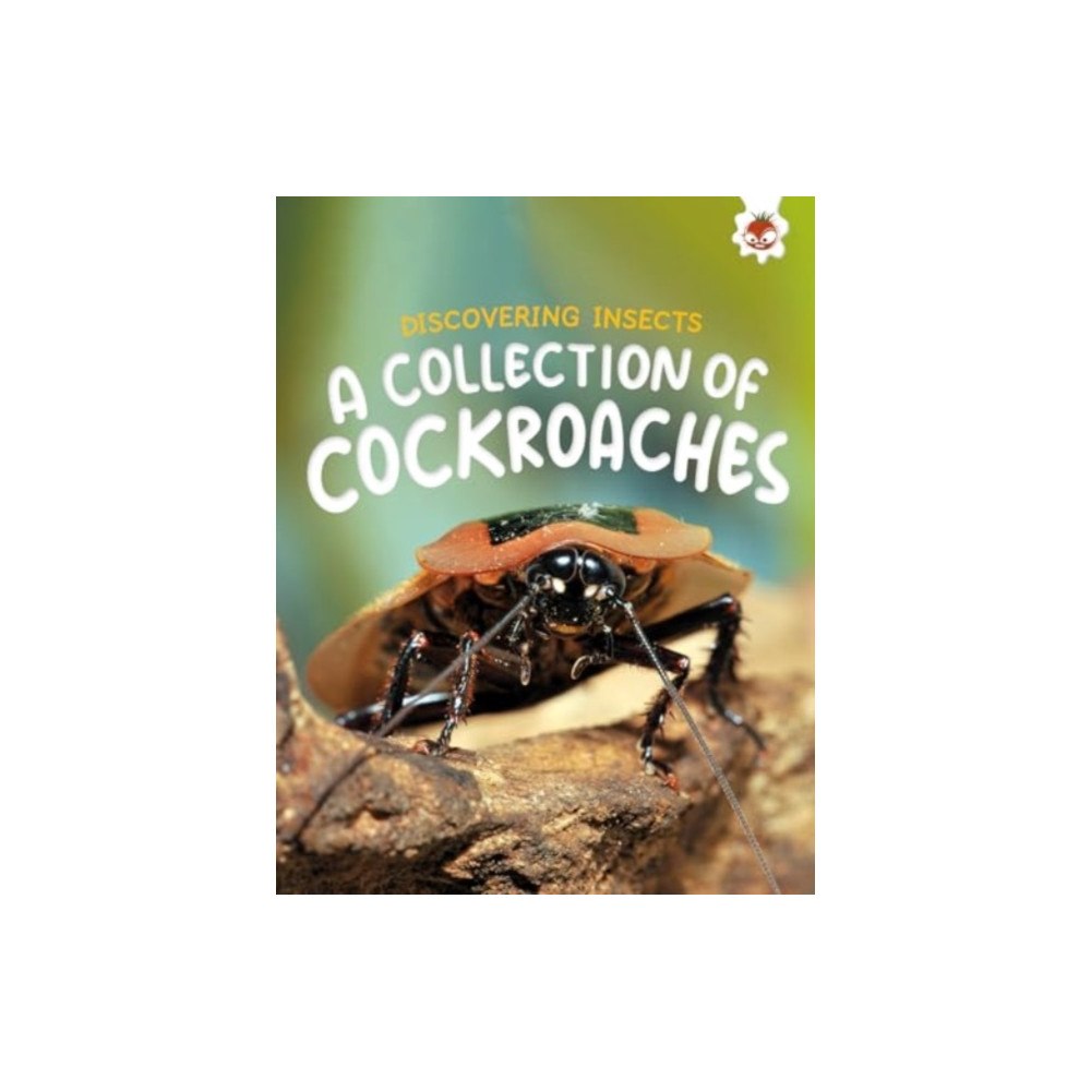 Hungry Tomato Ltd Discovering Insects: A Collection of Cockroaches (häftad, eng)
