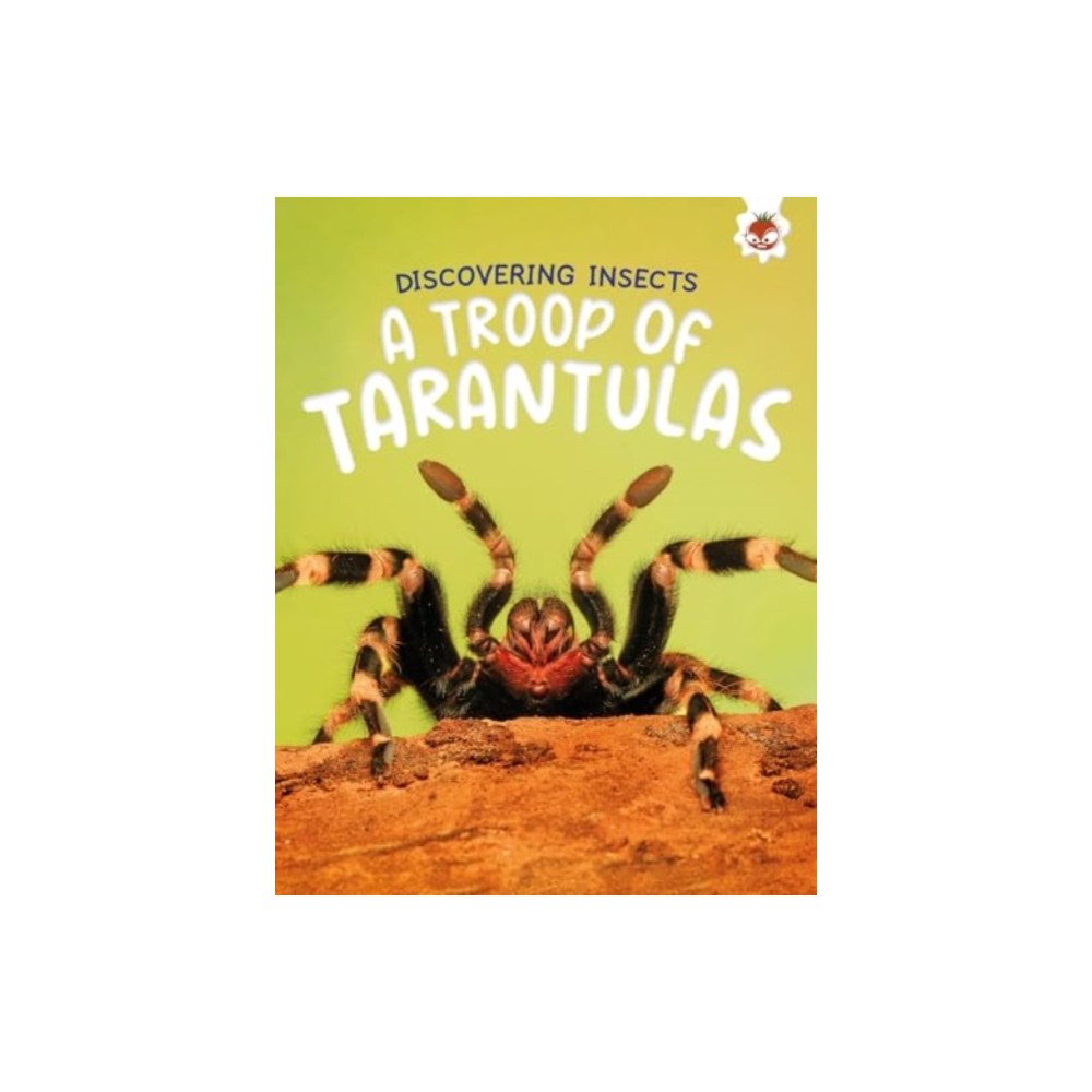 Hungry Tomato Ltd Discovering Insects: A Troop of Tarantulas (häftad, eng)