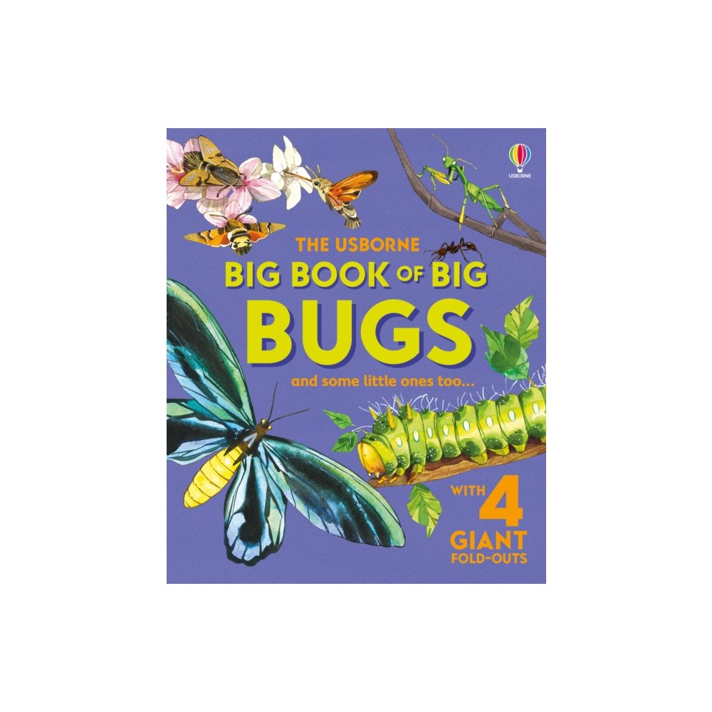 Usborne Publishing Ltd Big Book of Big Bugs (inbunden, eng)