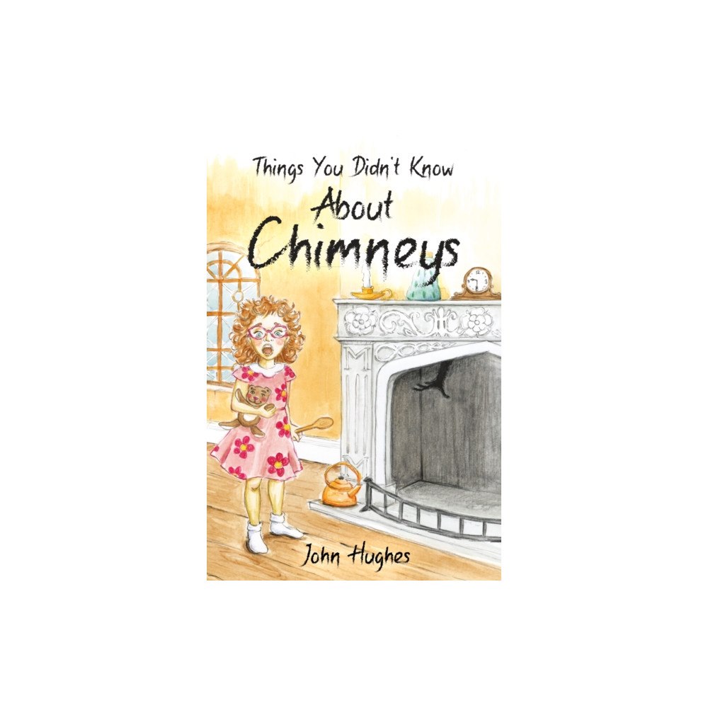 Troubador Publishing Things You Didn't Know About Chimneys (häftad, eng)