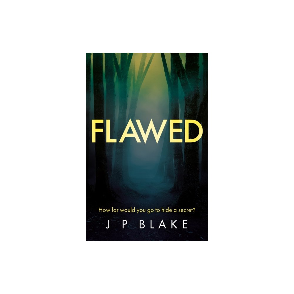 Troubador Publishing Flawed (häftad, eng)