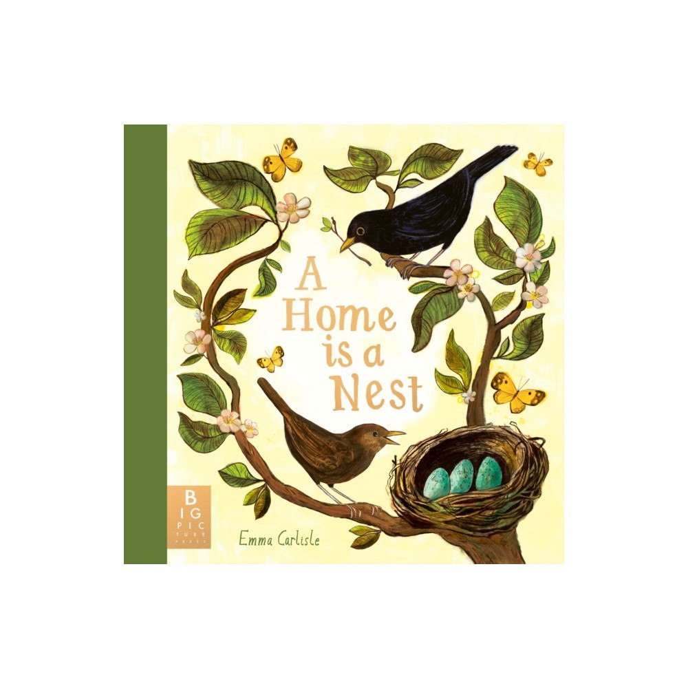 Templar Books A Home is a Nest (inbunden, eng)