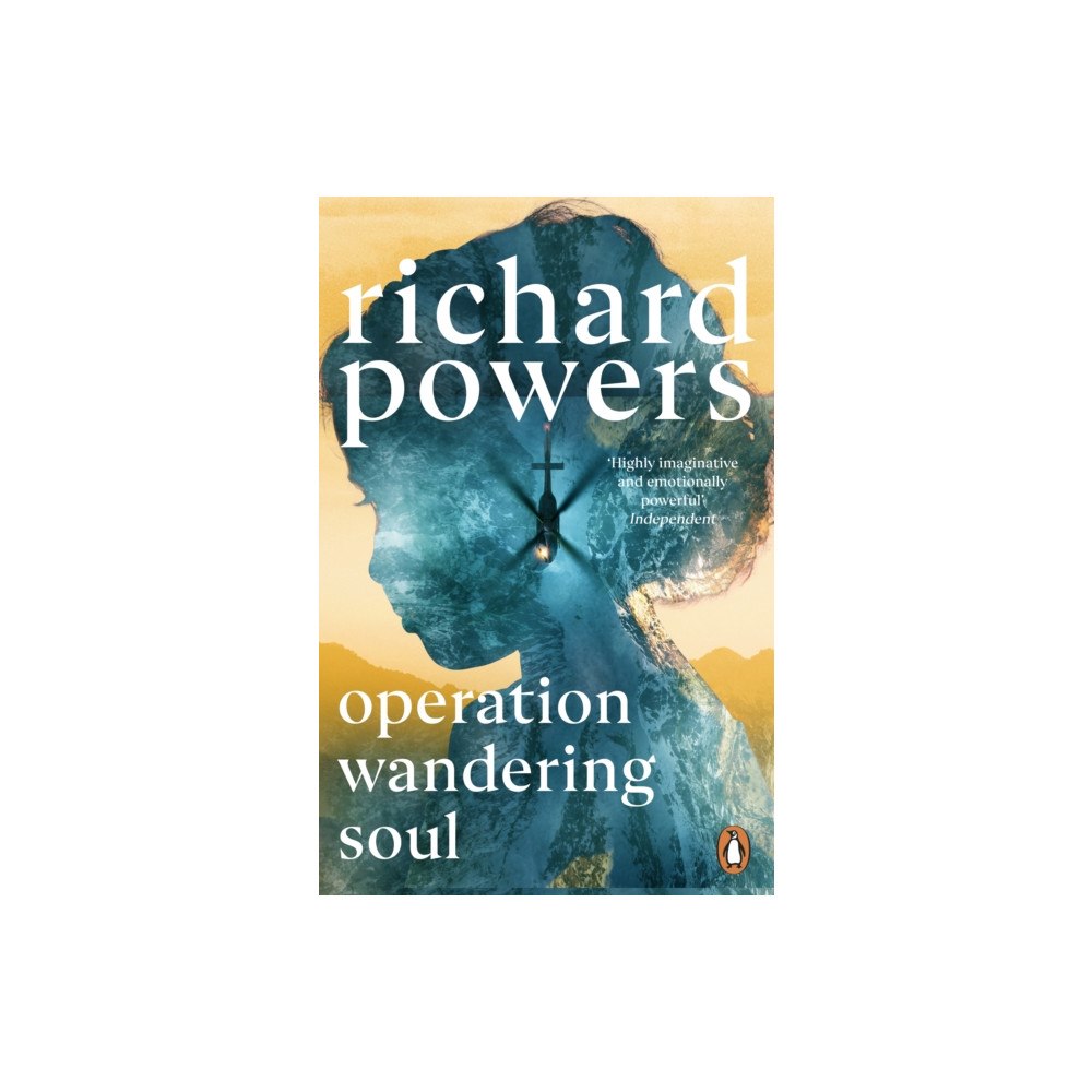 Cornerstone Operation Wandering Soul (häftad, eng)