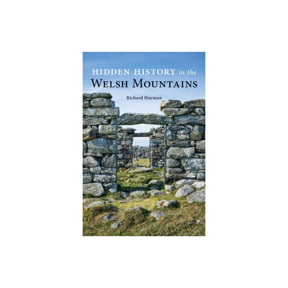 Fircone Books Ltd Hidden History in the Welsh Mountains (häftad, eng)