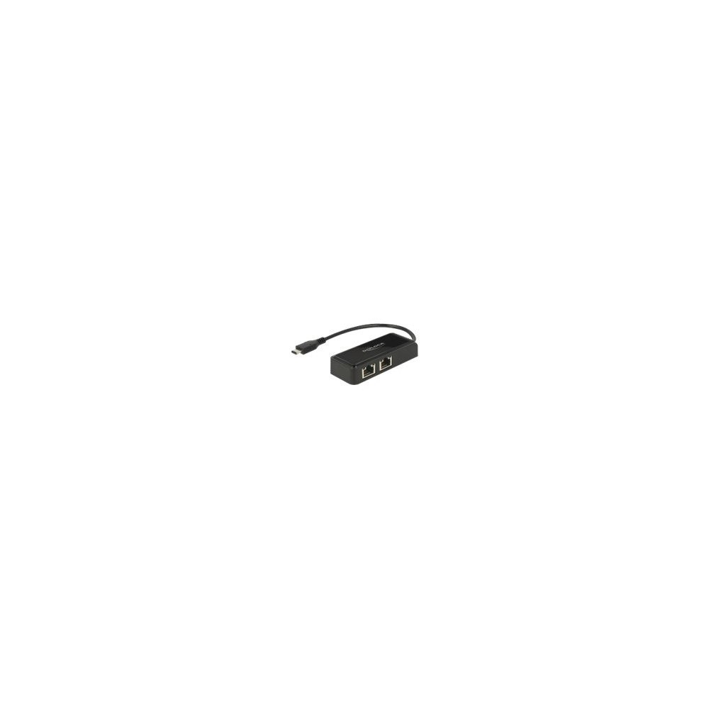 DeLOCK Delock Adapter USB-C 3.1 Gen 1 > 2 x Gigabit LAN 10/100/1000 Mb/s - nätverksadapter - USB 3.1 Gen 1 - Gigabit Ethernet x...