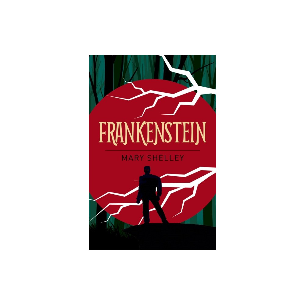 Arcturus publishing ltd Frankenstein (häftad, eng)