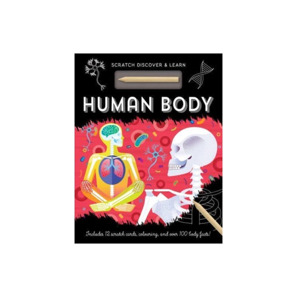 Gemini Books Group Ltd Human Body (inbunden, eng)