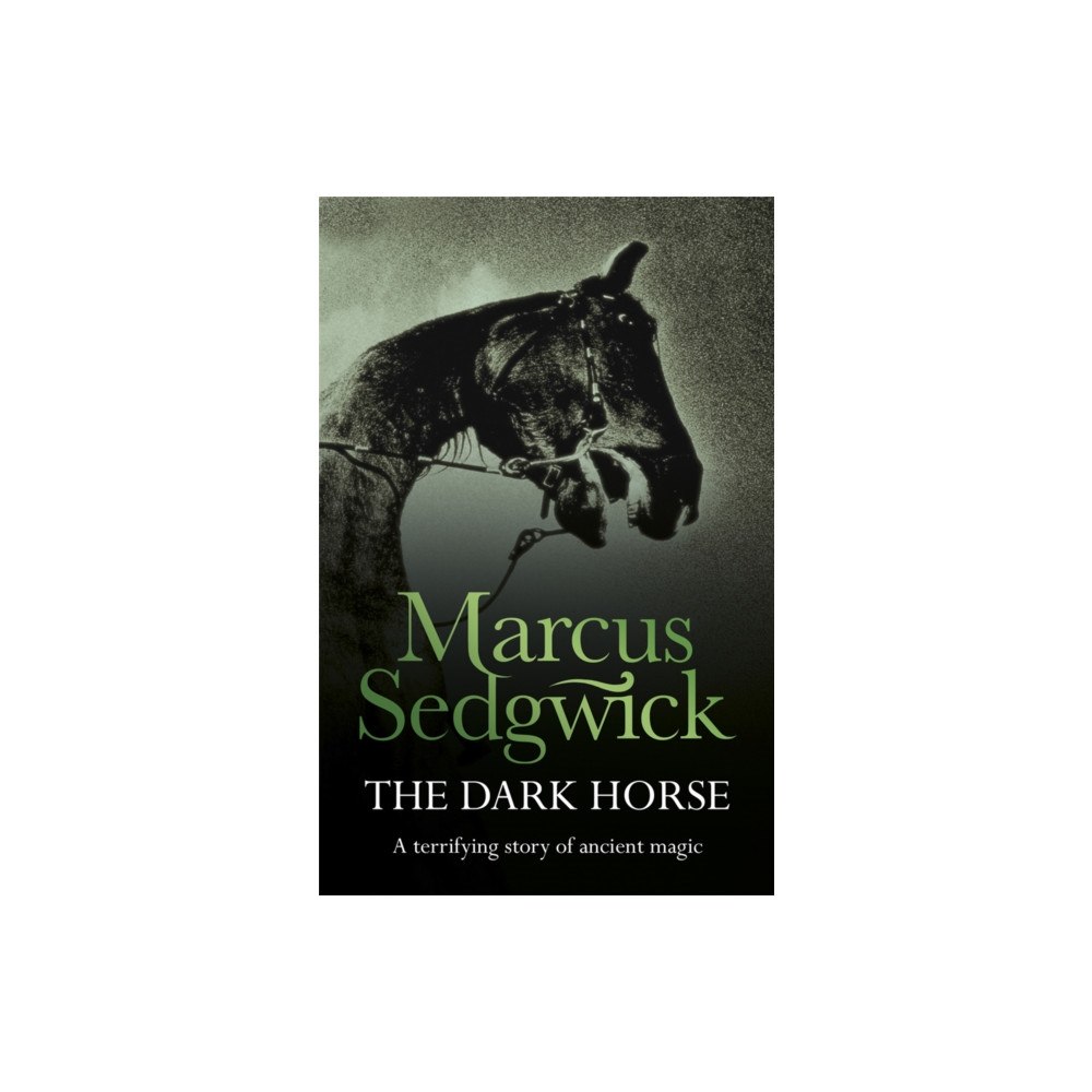Hachette Children's Group The Dark Horse (häftad, eng)