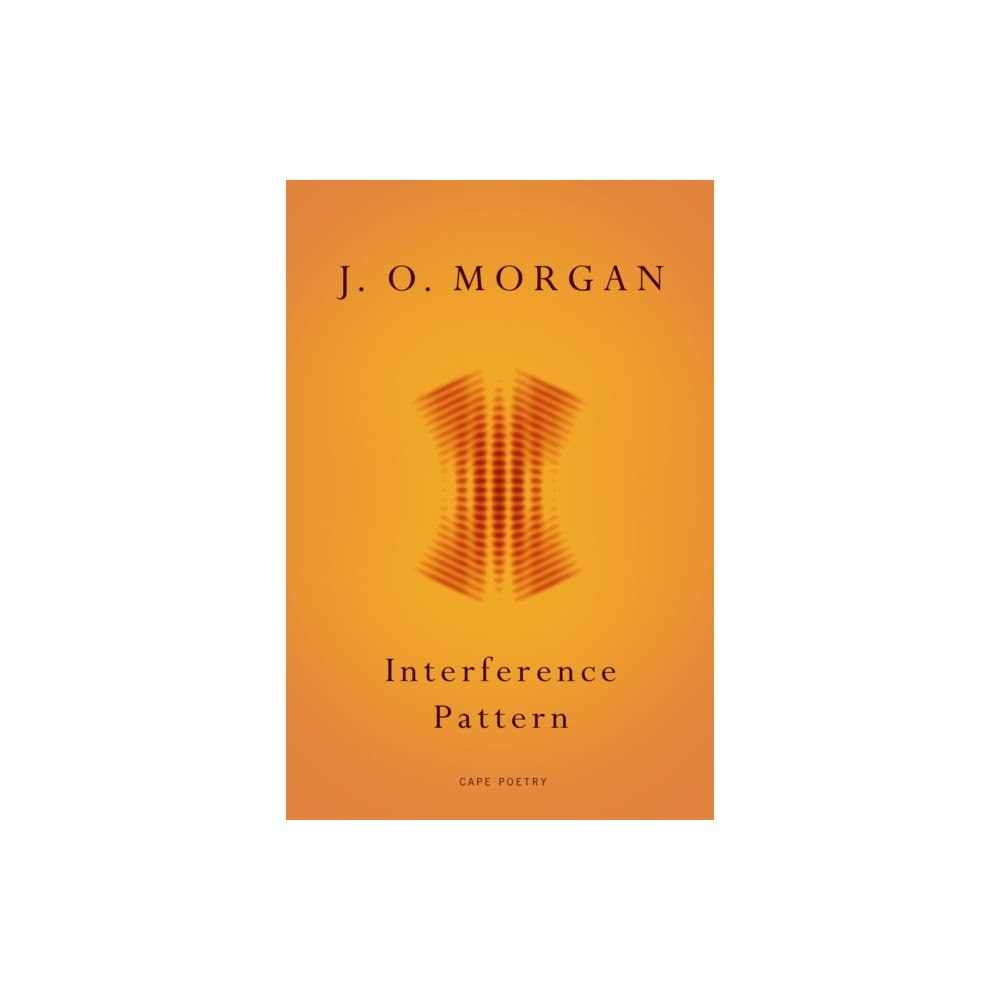 Vintage Publishing Interference Pattern (häftad, eng)