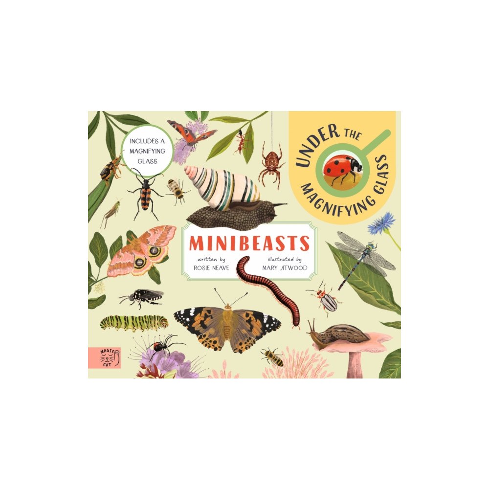 Magic Cat Publishing Minibeasts: Under the Magnifying Glass (inbunden, eng)