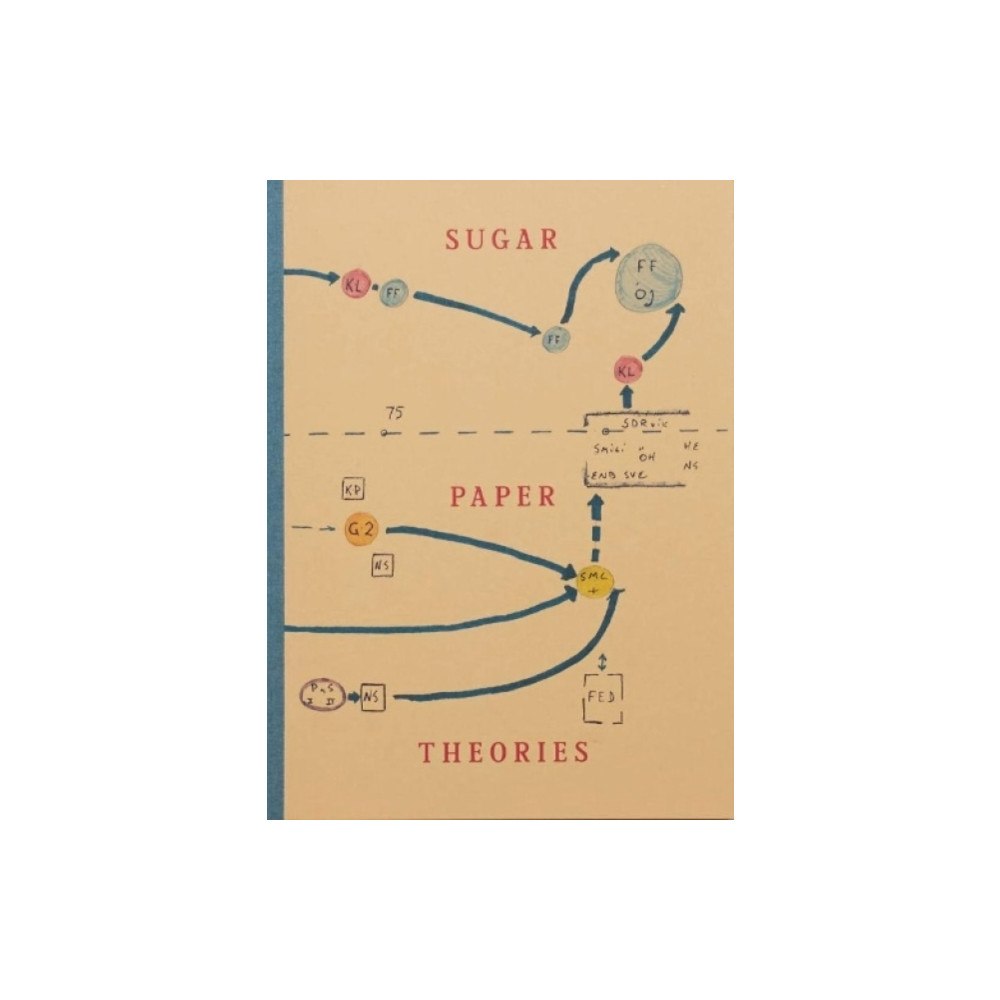 Here Press Sugar Paper Theories (häftad, eng)