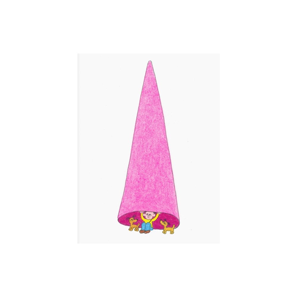 Bird Pit The Magic Hat (häftad, eng)