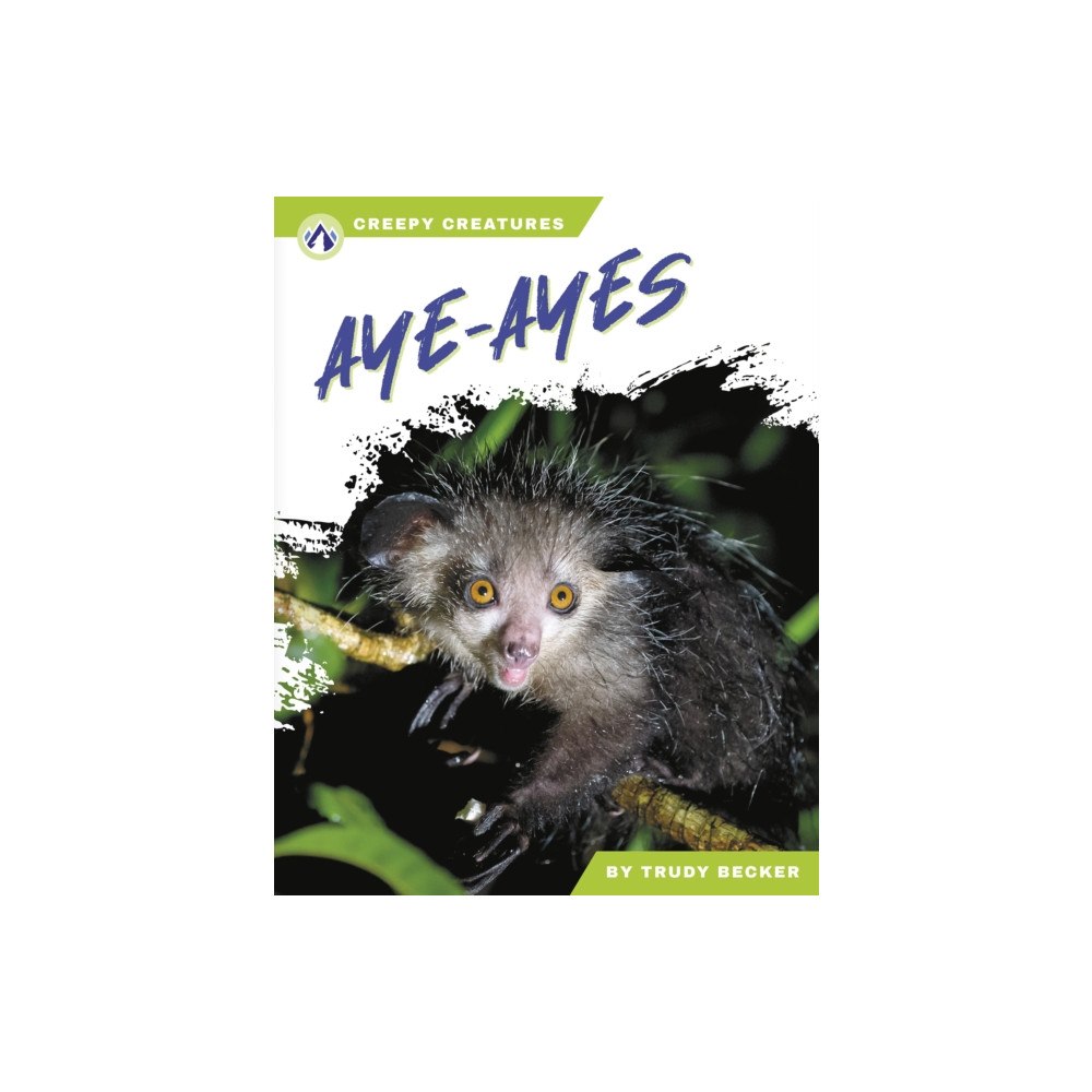 North Star Editions Aye-Ayes (häftad, eng)