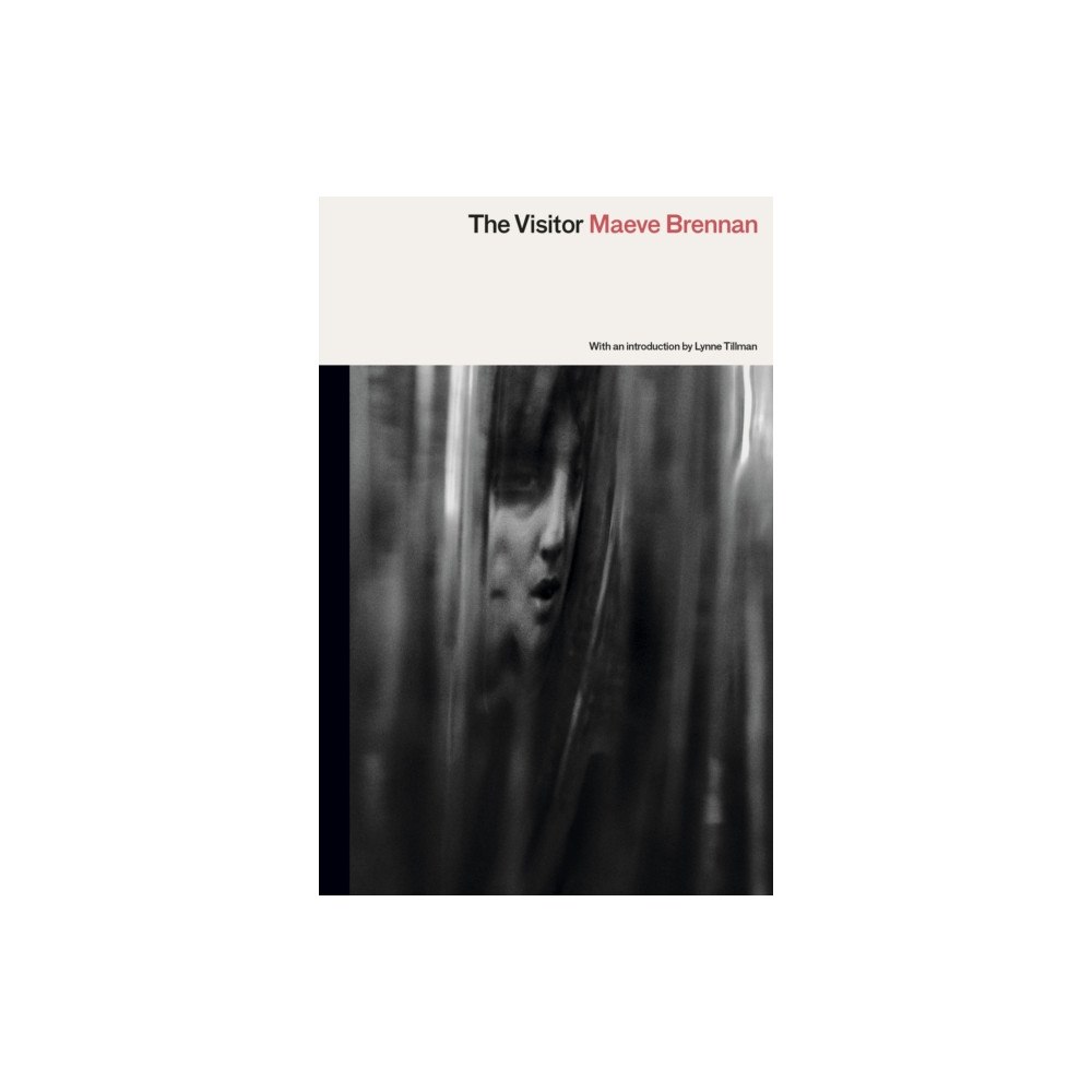 Peninsula Press Ltd The Visitor (häftad, eng)