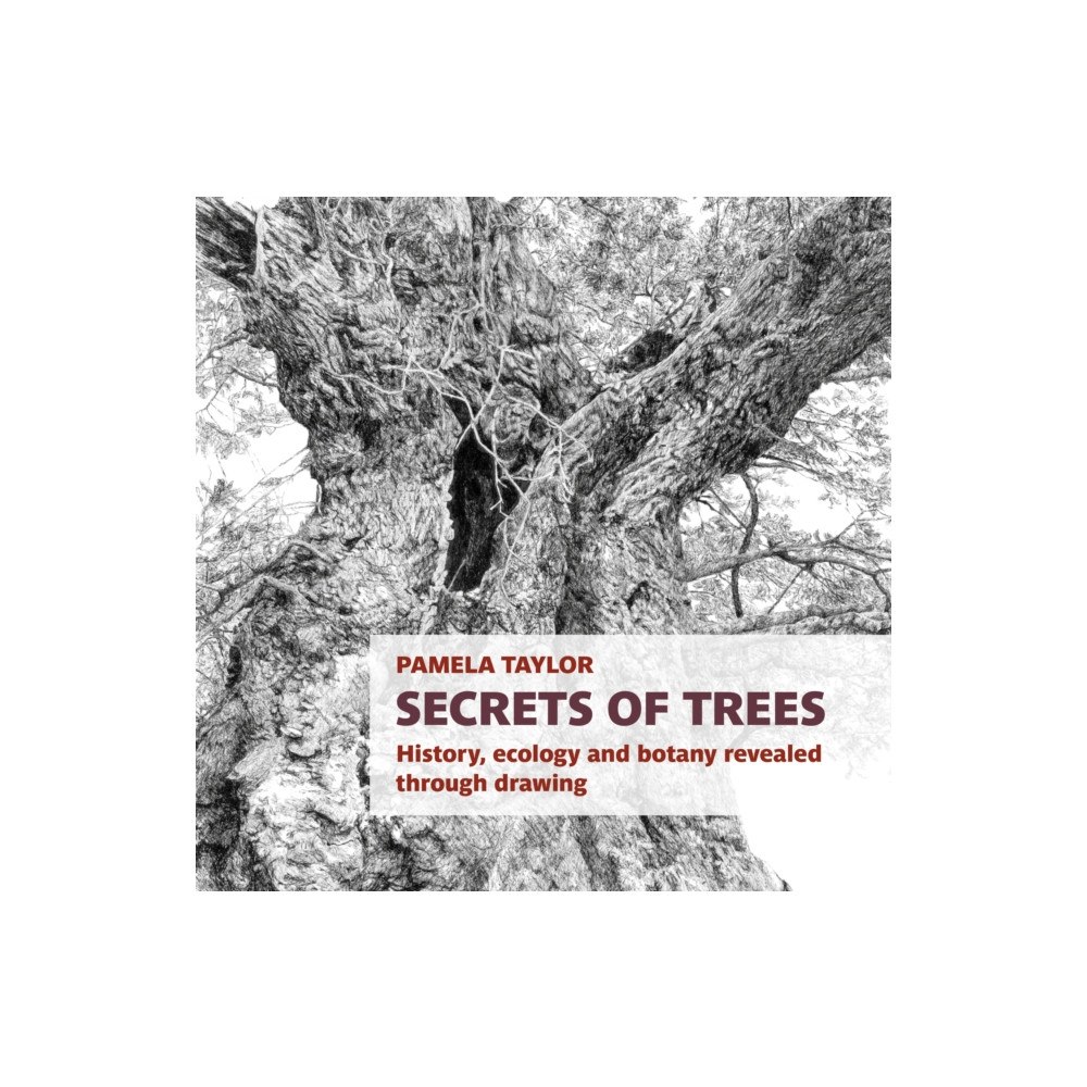 Two Rivers Press Secrets of Trees (häftad, eng)