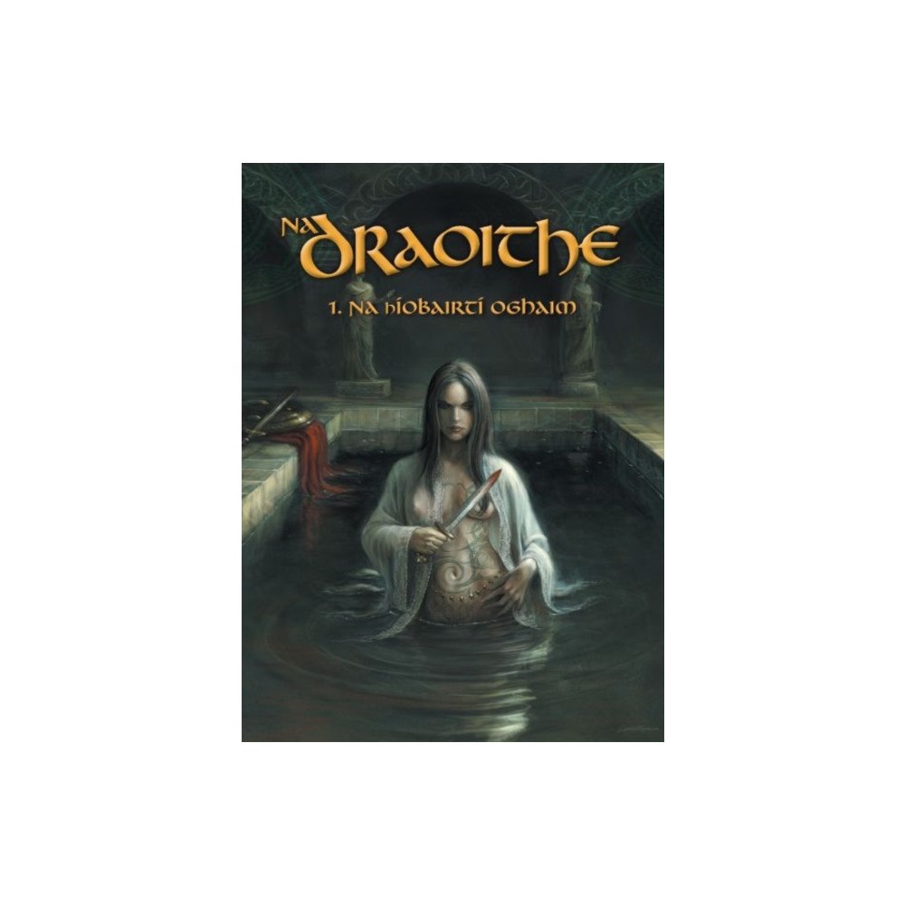 Dalen (Llyfrau) Cyf Na Draoithe (häftad, gle)