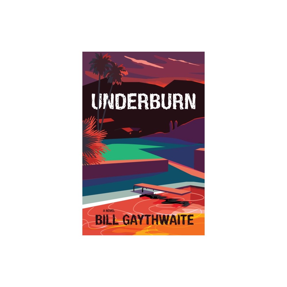 Delphinium Books, Inc Underburn A Novel (häftad, eng)