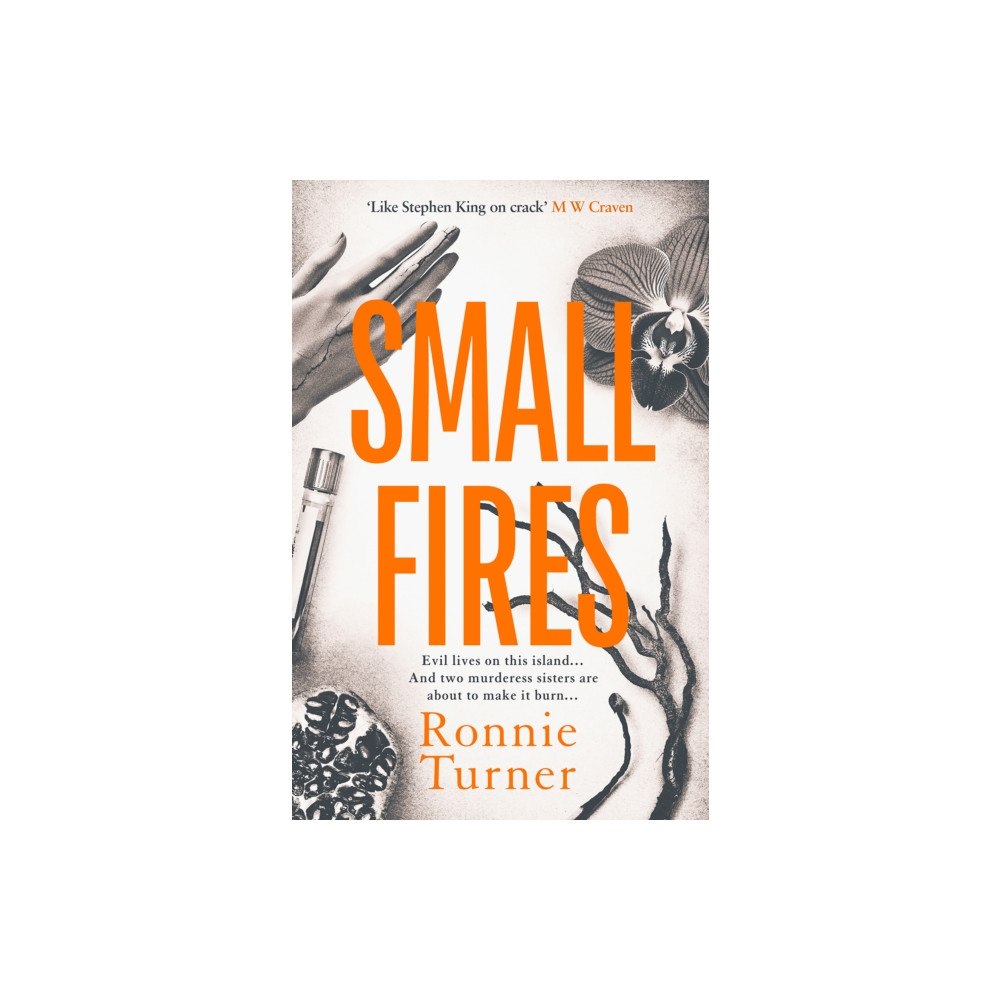 Orenda Books Small Fires (häftad, eng)