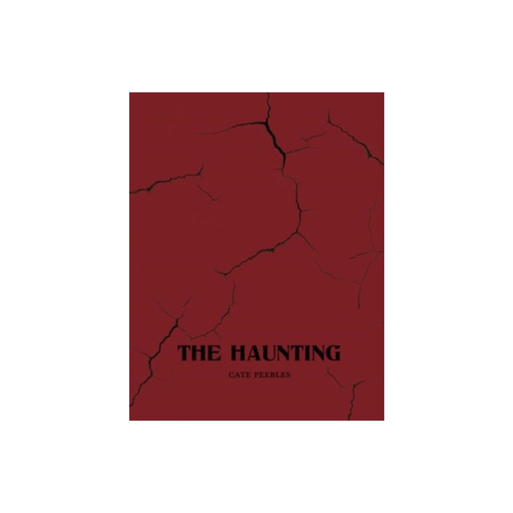 Tupelo Press, Incorporated The Haunting (häftad, eng)