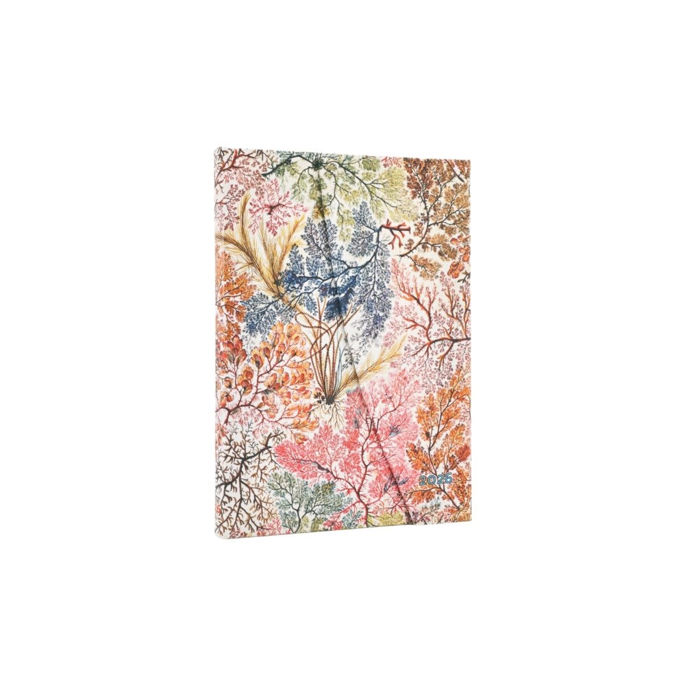 Little, Brown Book Group 2026 Anemone (William Kilburn) Midi 12-month Verso Hardcover Flexi Dayplanner 2026 (Wrap Closure) (inbunden, eng)