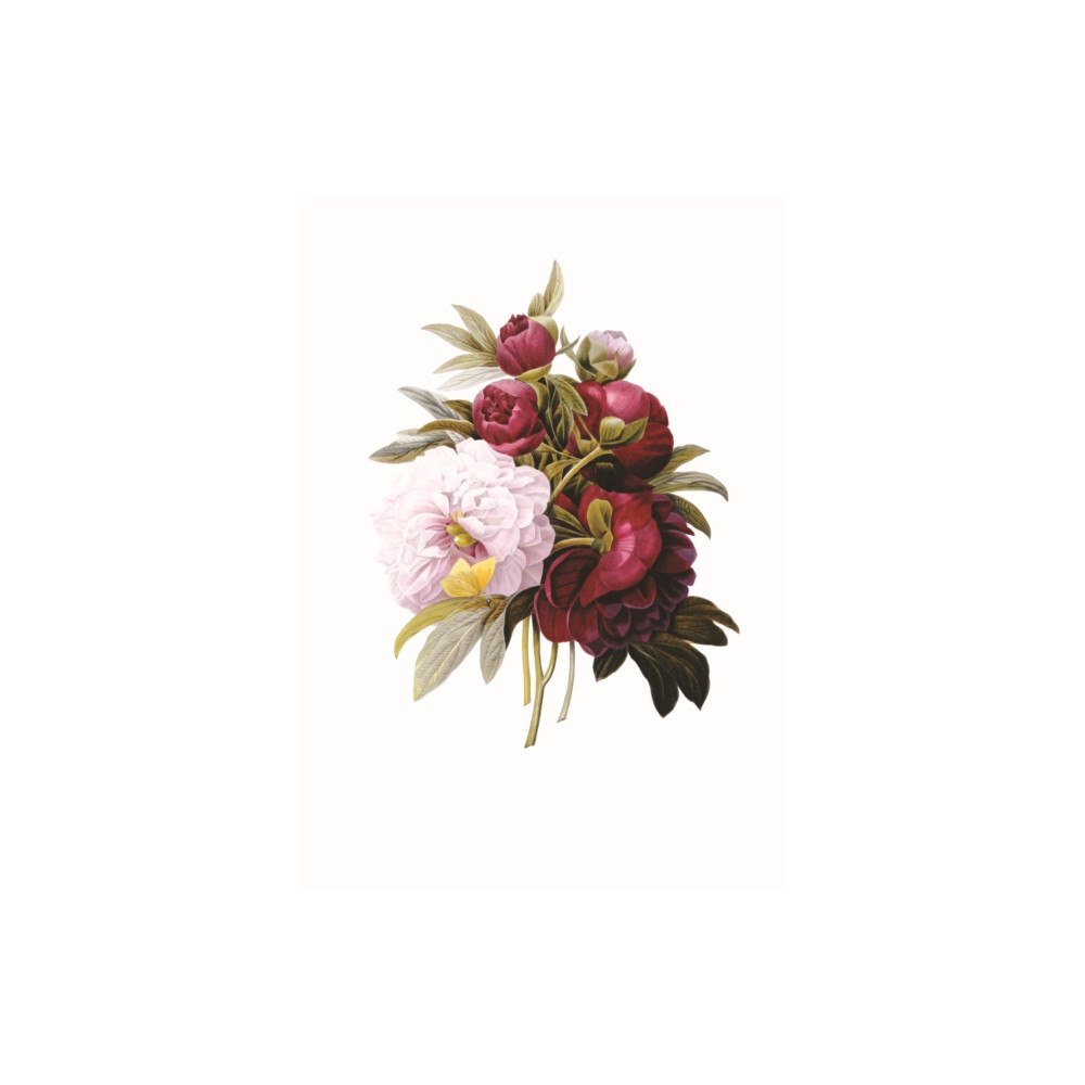 Anness publishing Memo Block: Redoute Peony (inbunden, eng)