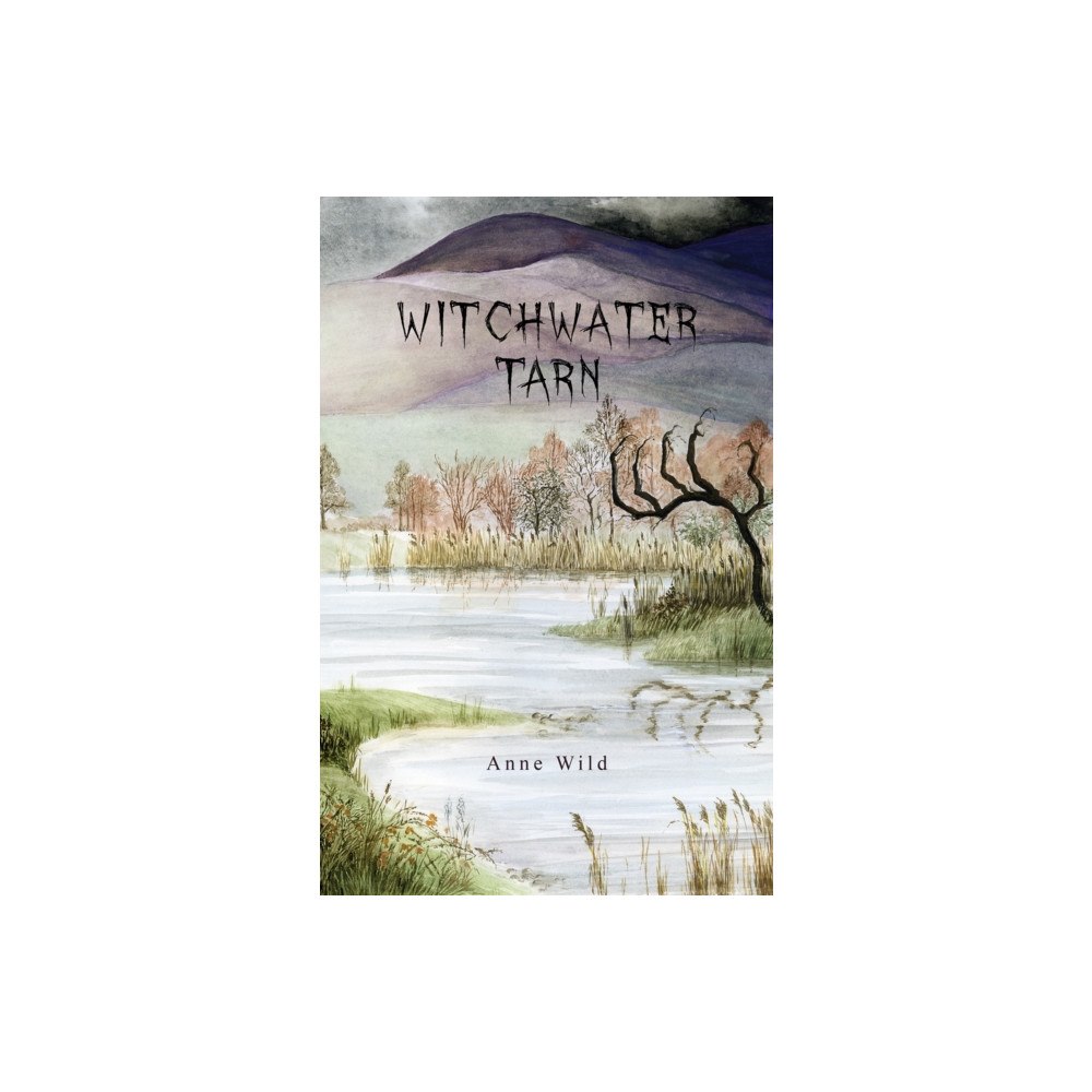 Austin Macauley Publishers Witchwater Tarn (häftad, eng)