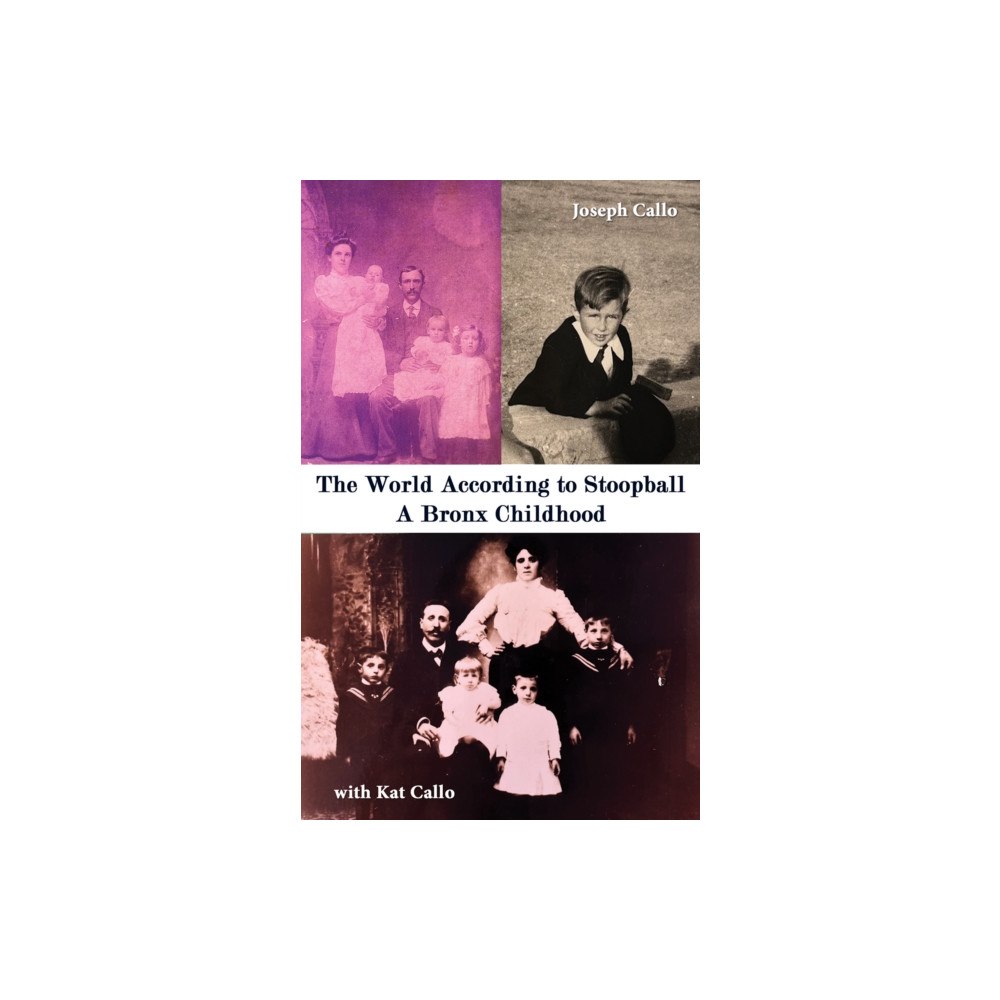 Austin Macauley Publishers The World According to Stoopball (häftad, eng)